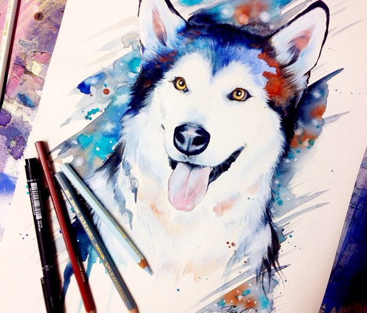 750x640 Siberian Husky Watercolor Painting By Pixie Cold Art