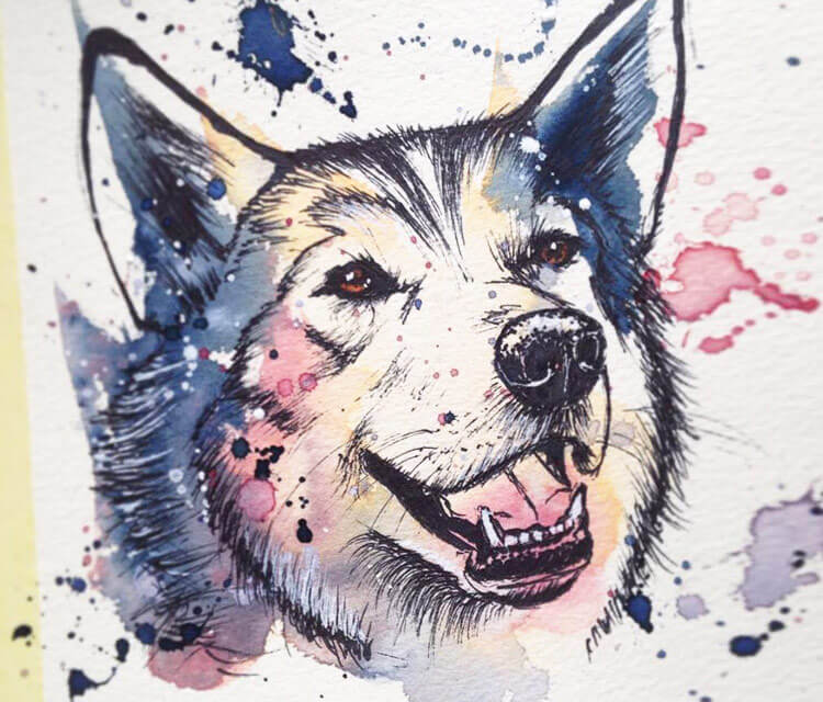 750x640 Siberian Husky Watercolor Painting By Tori Ratcliffe Art No. 2256