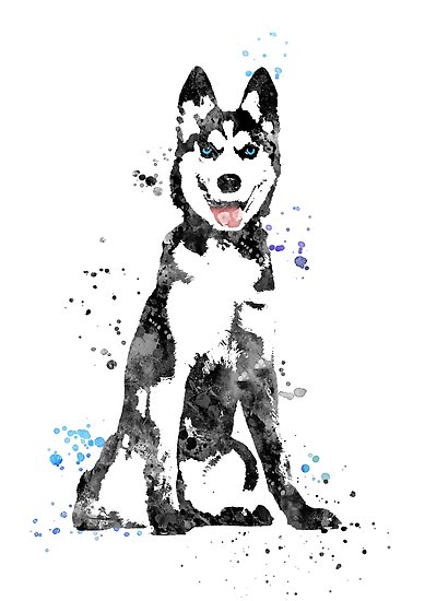 389x550 Siberian Husky, Watercolor Art, Husky Print, Siberian Husky Dog