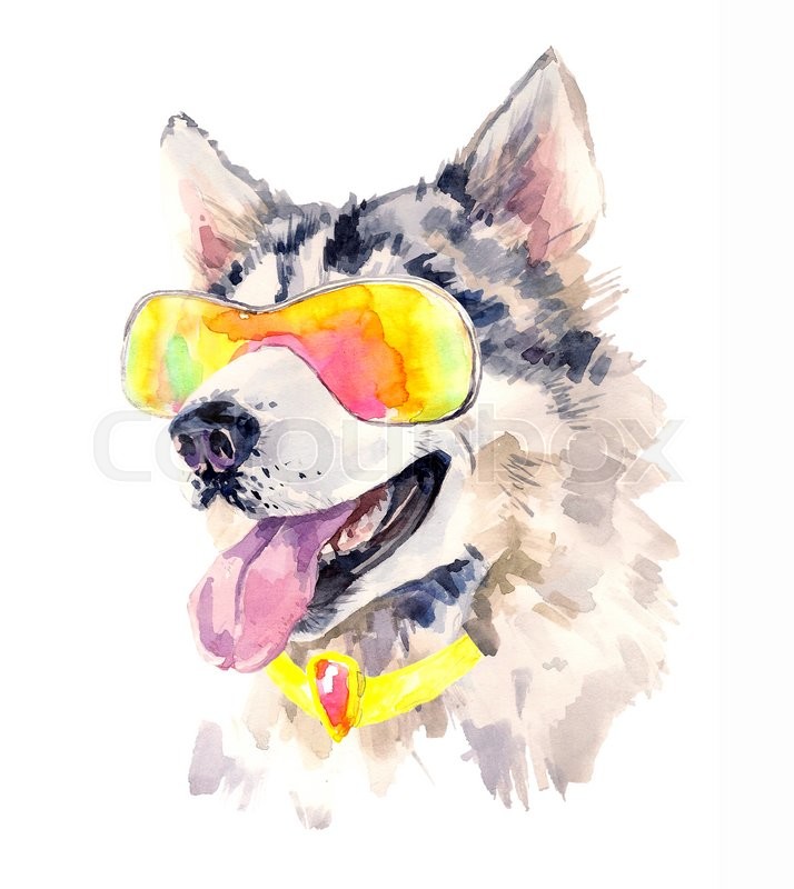 714x800 Watercolor Siberian Husky Dog In Cool Sun Glasses. Cute Sheepdog