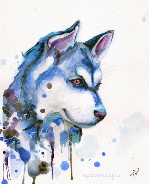 500x619 Watercolour Husky Painting
