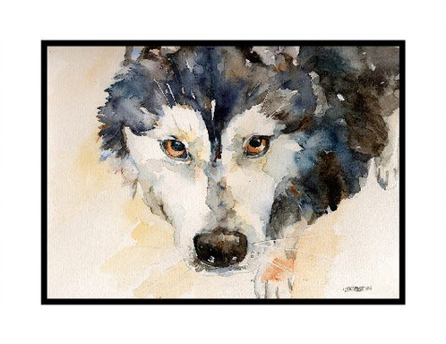 498x384 Eyes Of A Siberian Husky Watercolor Note Cards