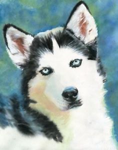 236x300 Giclee Print Siberian Husky Dog Watercolor Painting Art Pet