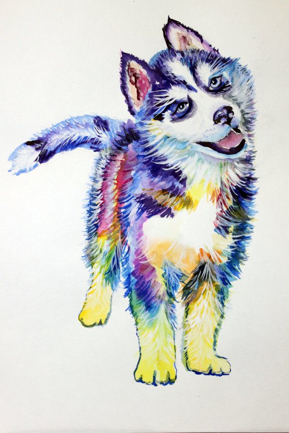 570x855 Husky Dog Canvas Print Puppy Siberian Husky Watercolor Etsy