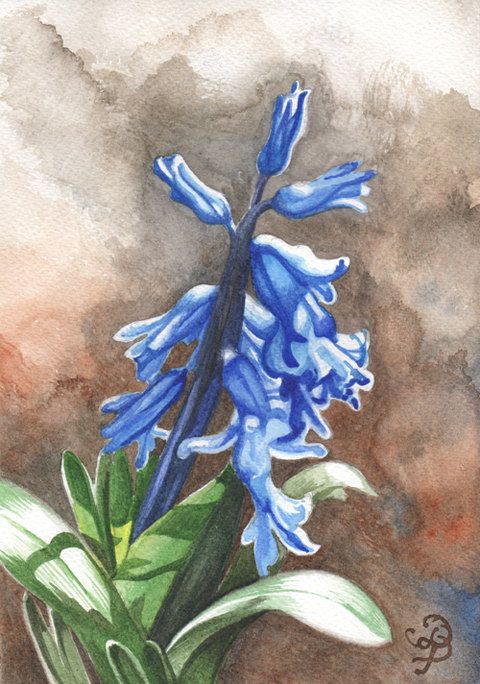 480x684 Hyacinth, Original Watercolor Painting Art Gallery Group Board