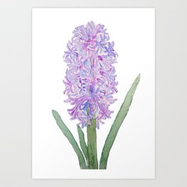 264x264 Hyacinth Art Prints Society6