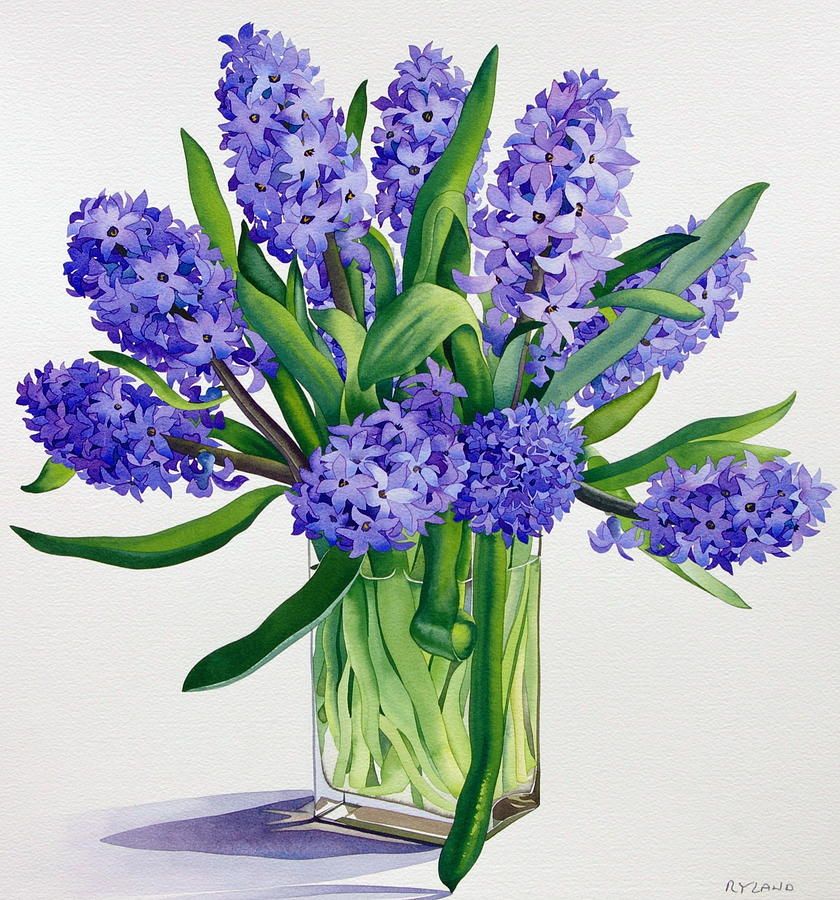 840x900 Hyacinth Painting
