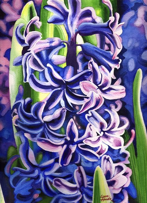 508x700 Linda Hoover Hyacinth Watercolor