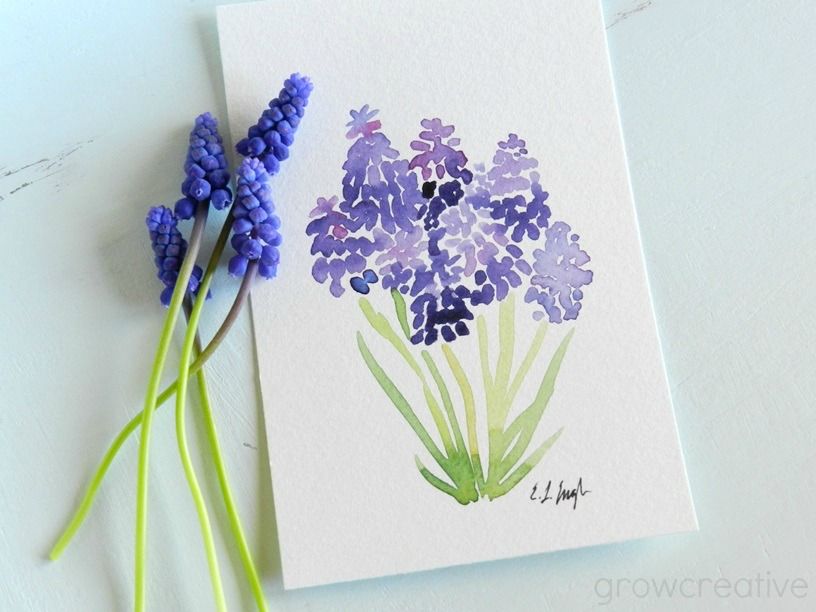 816x612 Original Watercolor Painting Of Purple Grape Hyacinth Flowers By