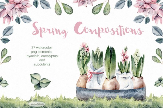 570x379 Spring Watercolor Composition Hyacinth Watercolor Succulent Etsy