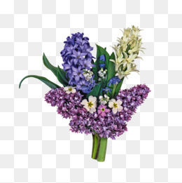 260x261 Watercolor Hyacinth Png Images Vectors And Psd Files Free