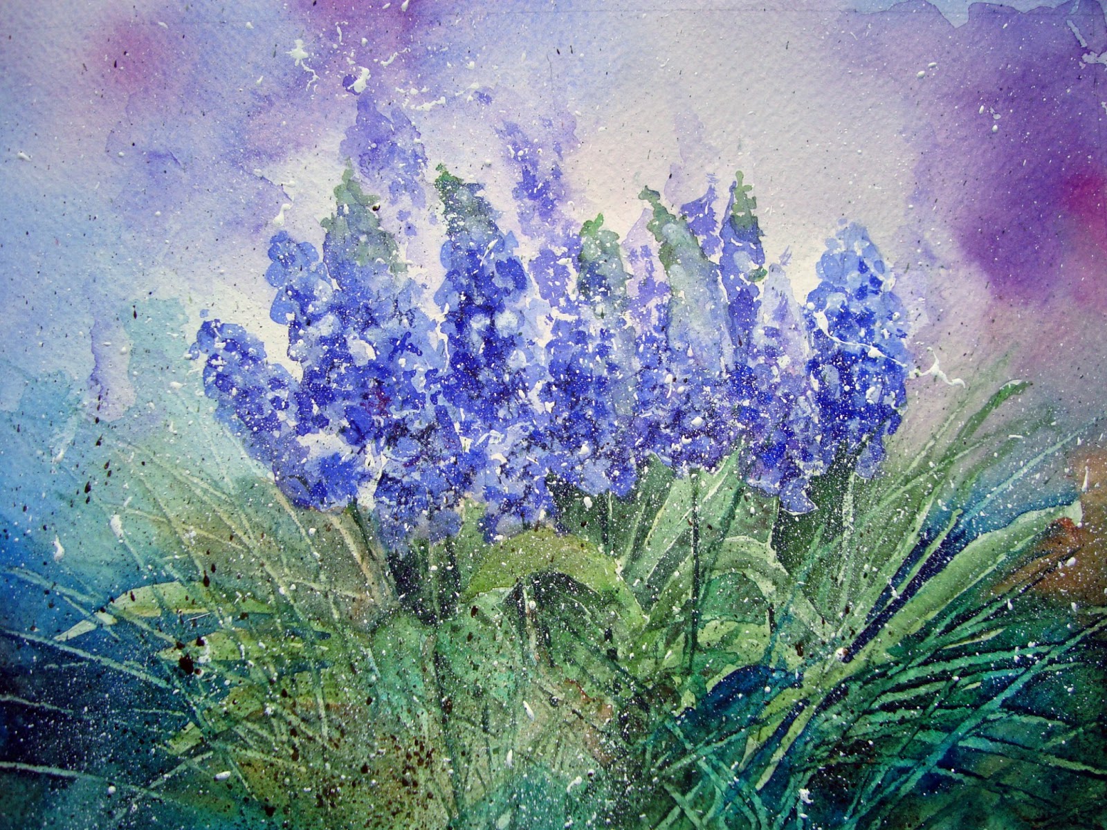 1600x1200 Watercolour Florals Grape Hyacinths