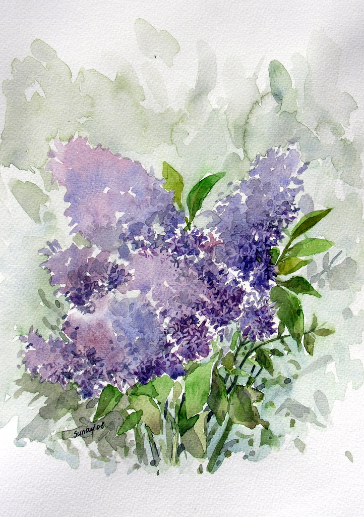 722x1024 Watercolor Lilac By Sunaysenturk