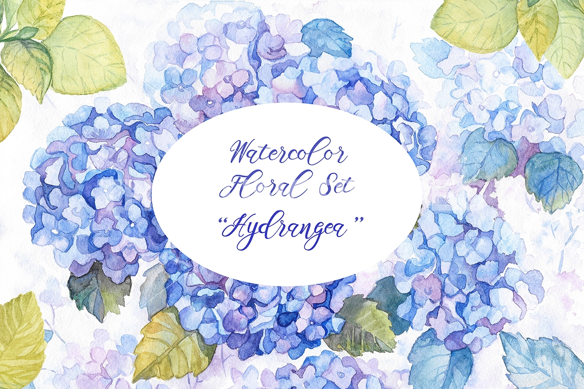 1160x772 Hydrangea Watercolor Flowers By Irina Diasli