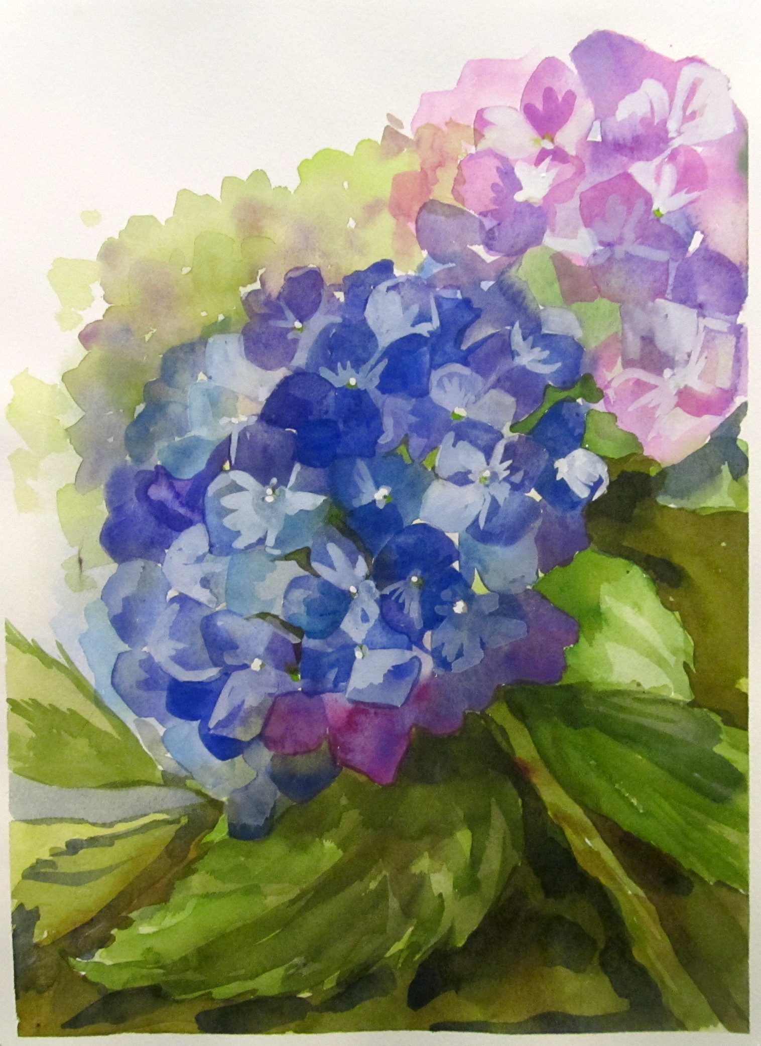 1516x2084 Beauty Of Watercolor