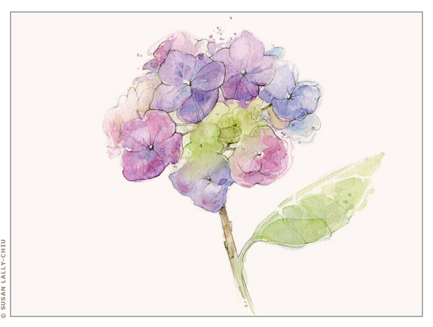 614x464 Purple Hydrangea Watercolor Happy Tree Press, Susan Lally Chiu