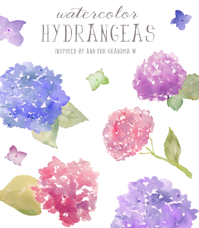700x800 Watercolor Hydrangeas