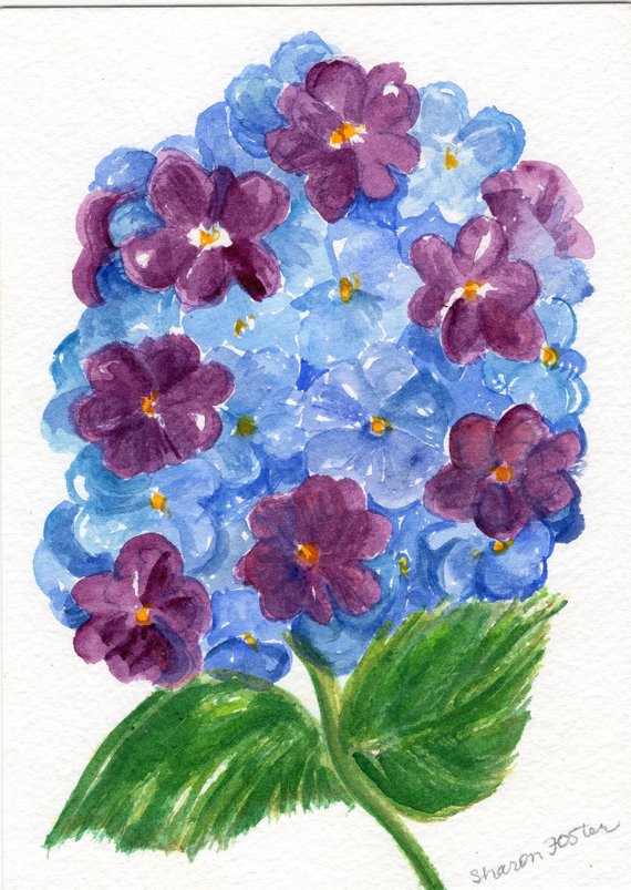 570x803 Purple Blue Hydrangeas Watercolor Painting Original 5x7 Etsy