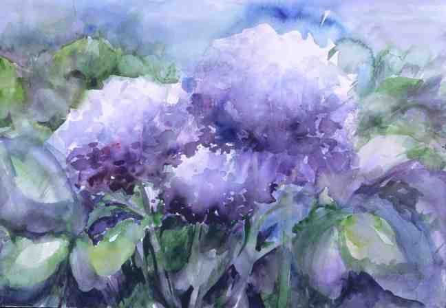 648x448 Spring Hydrangeas Beauty Of Art Hydrangea