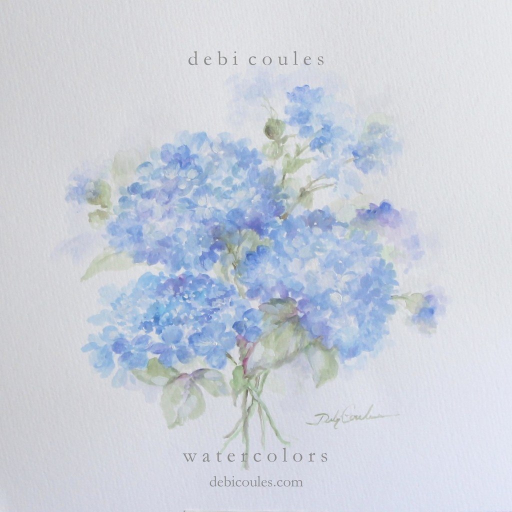 1024x1024 Blue Hydrangeas Original Watercolor Painting By Debi Coules