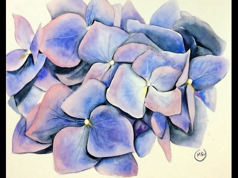 480x360 Watercolor Hydrangea Ii Painting Demonstration