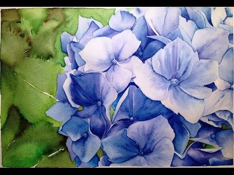 480x360 How To Paint Blue Hydrangea With Watercolour Markers