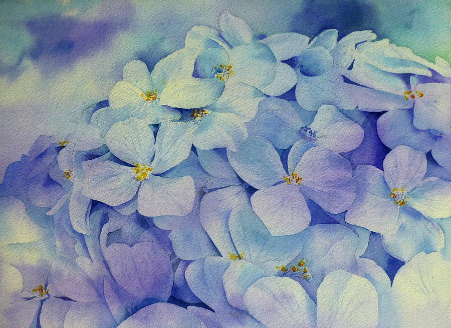 900x655 Hydrangea 2 Painting By Thomas Habermann