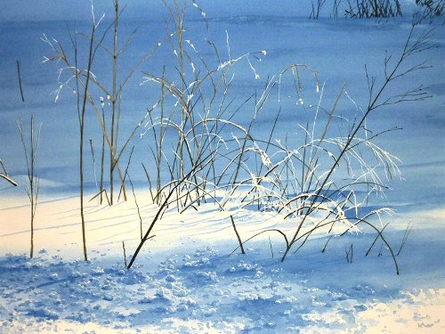 500x375 Abe Toshiyuki Hyperrealistic Watercolors