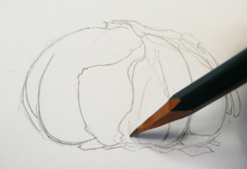 500x341 Paint Draw Paint, Learn To Draw Watercolor Basics Transferring A