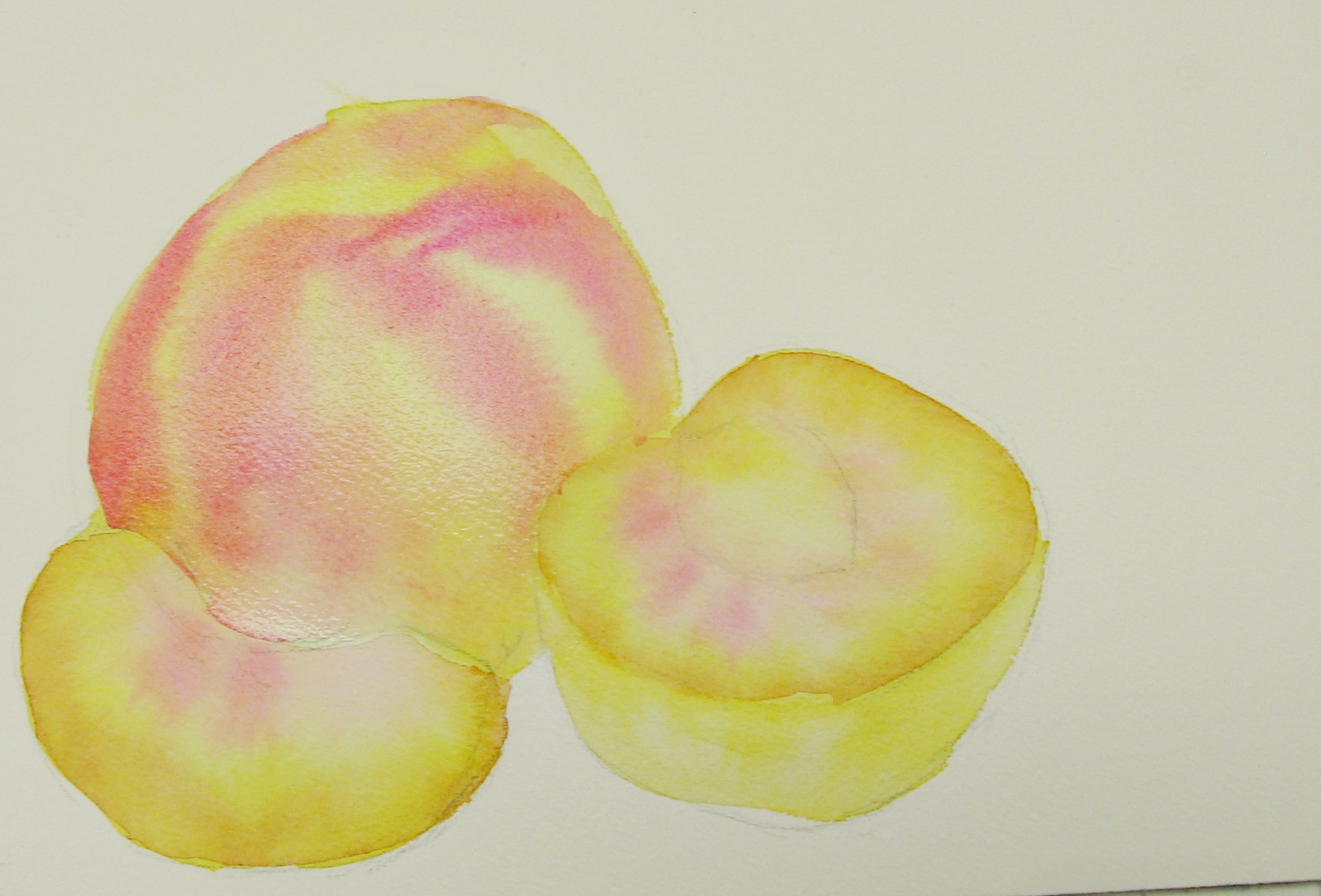 1616x1096 Painting Fruit In Watercolor Step By Step Peach Sweetbriar Sisters