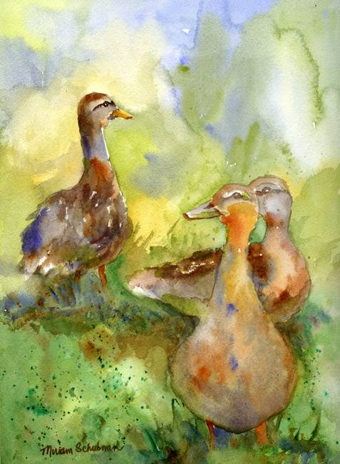 477x650 Three Ducks, Impressionist Watercolor Painting Art By Miriam Schulman
