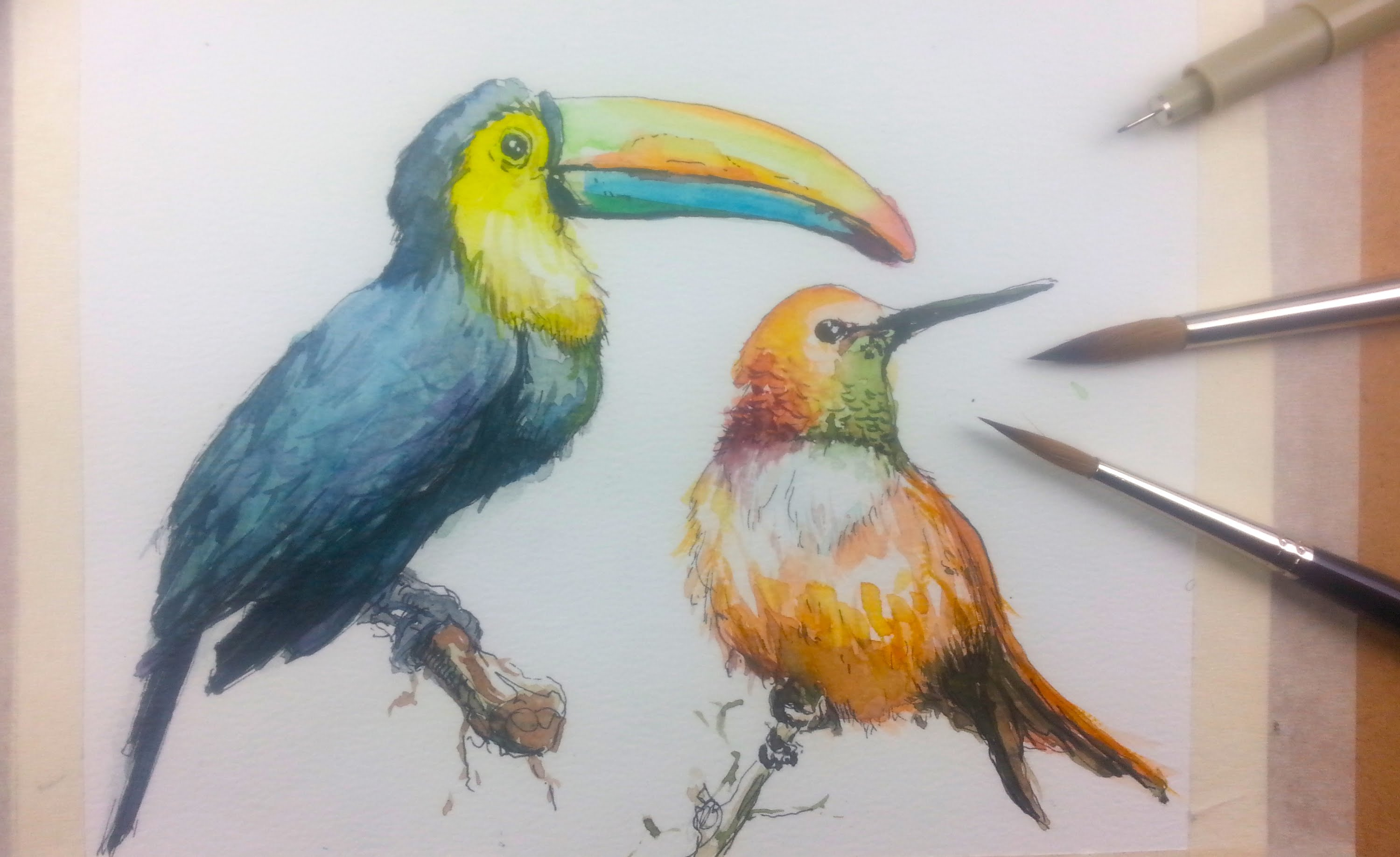 3000x1837 Drawing In Watercolor Of Birds