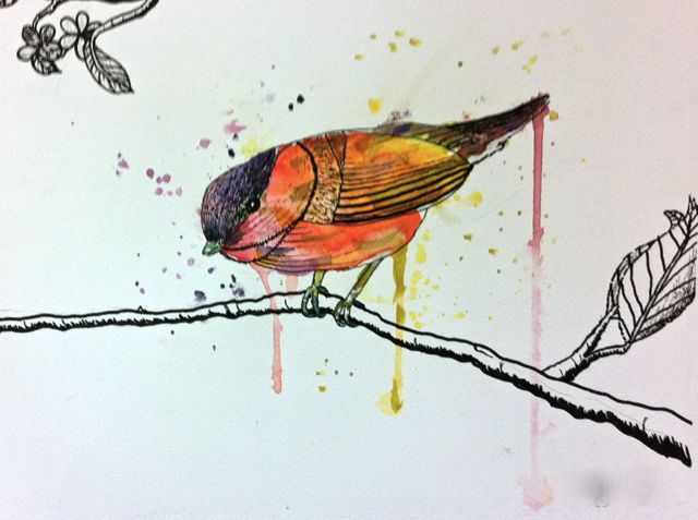 640x477 Room 101 Art Loose Watercolor And Ink Birds, Teen Camp