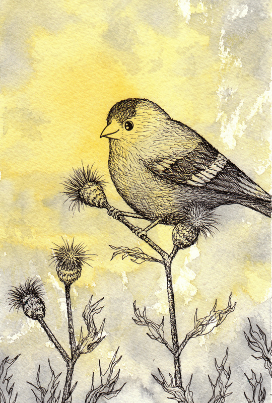 540x800 Collection Of Watercolor Over Ink Drawing High Quality, Free