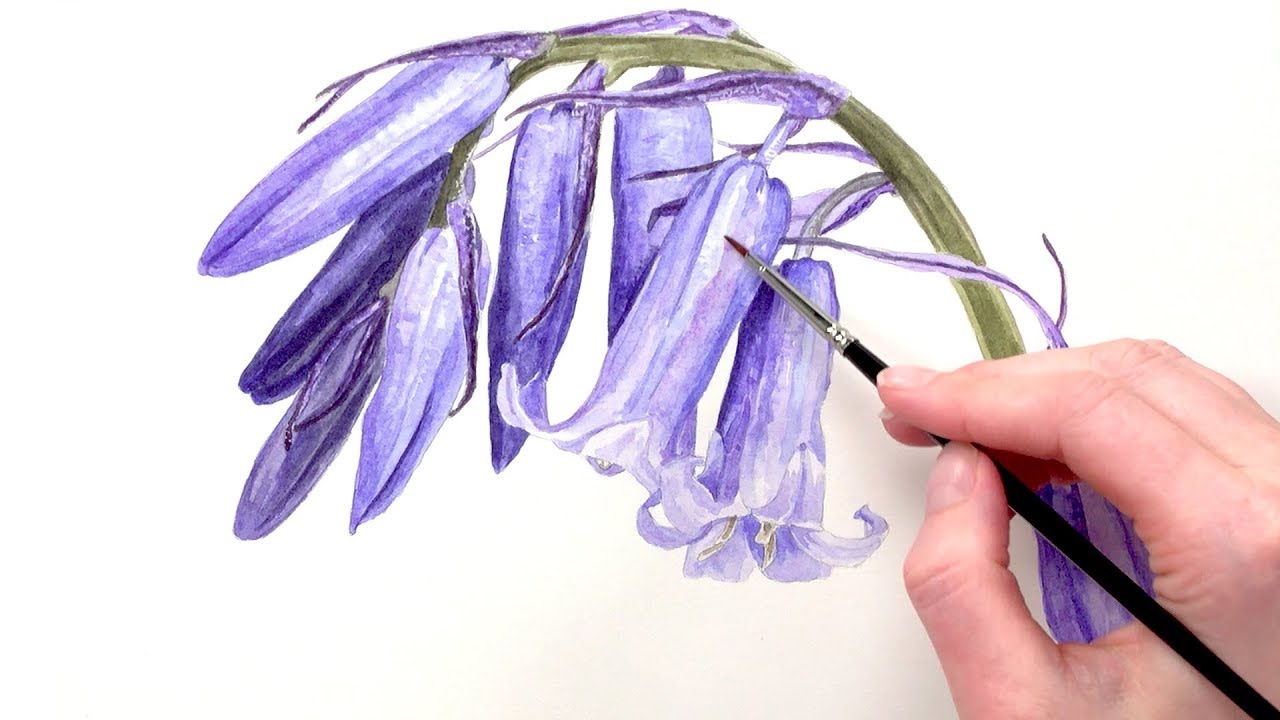 1280x720 How To Paint Iridescent Bluebells In Watercolour With Anna Mason