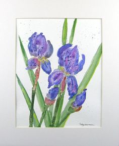236x289 6.7k Best Watercolor Irises Images In 2018