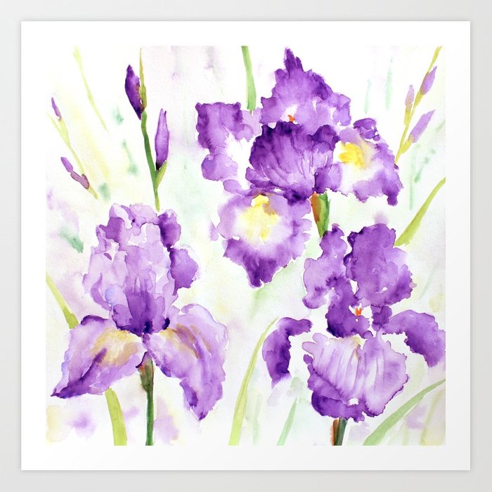 700x700 Watercolor Blue Iris Flowers Art Print By Chengjing Society6