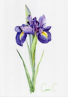 236x336 705 Best Art