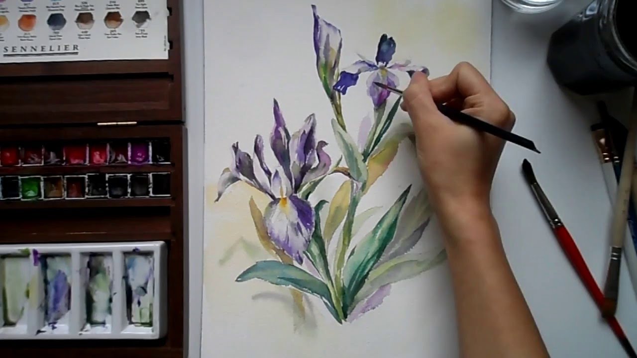 1280x720 Watercolor Iris Flower