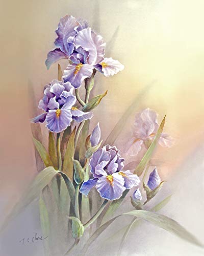 400x500 Violet Iris Flowers With Faded Background Print Of