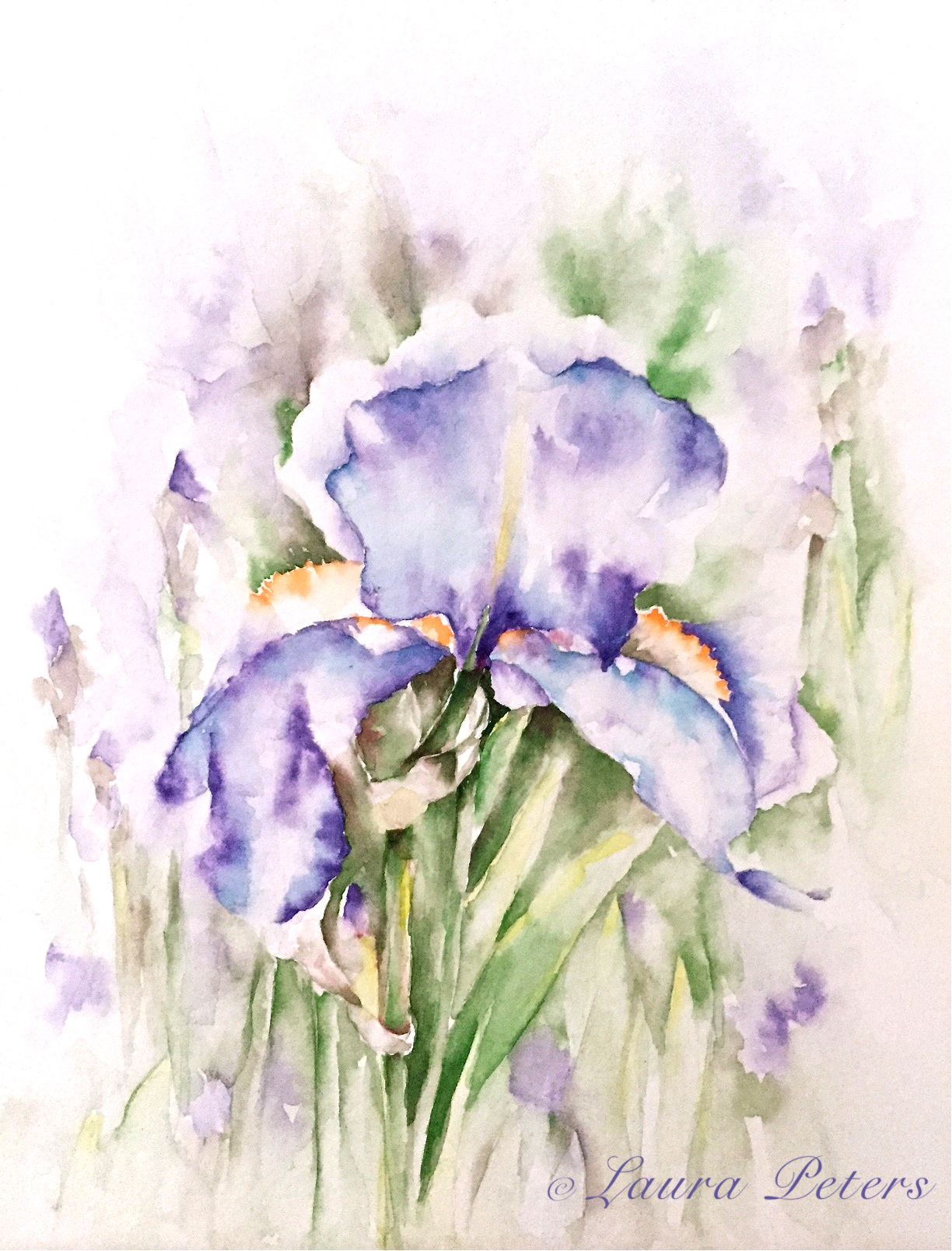 1224x1608 Antonella Journals