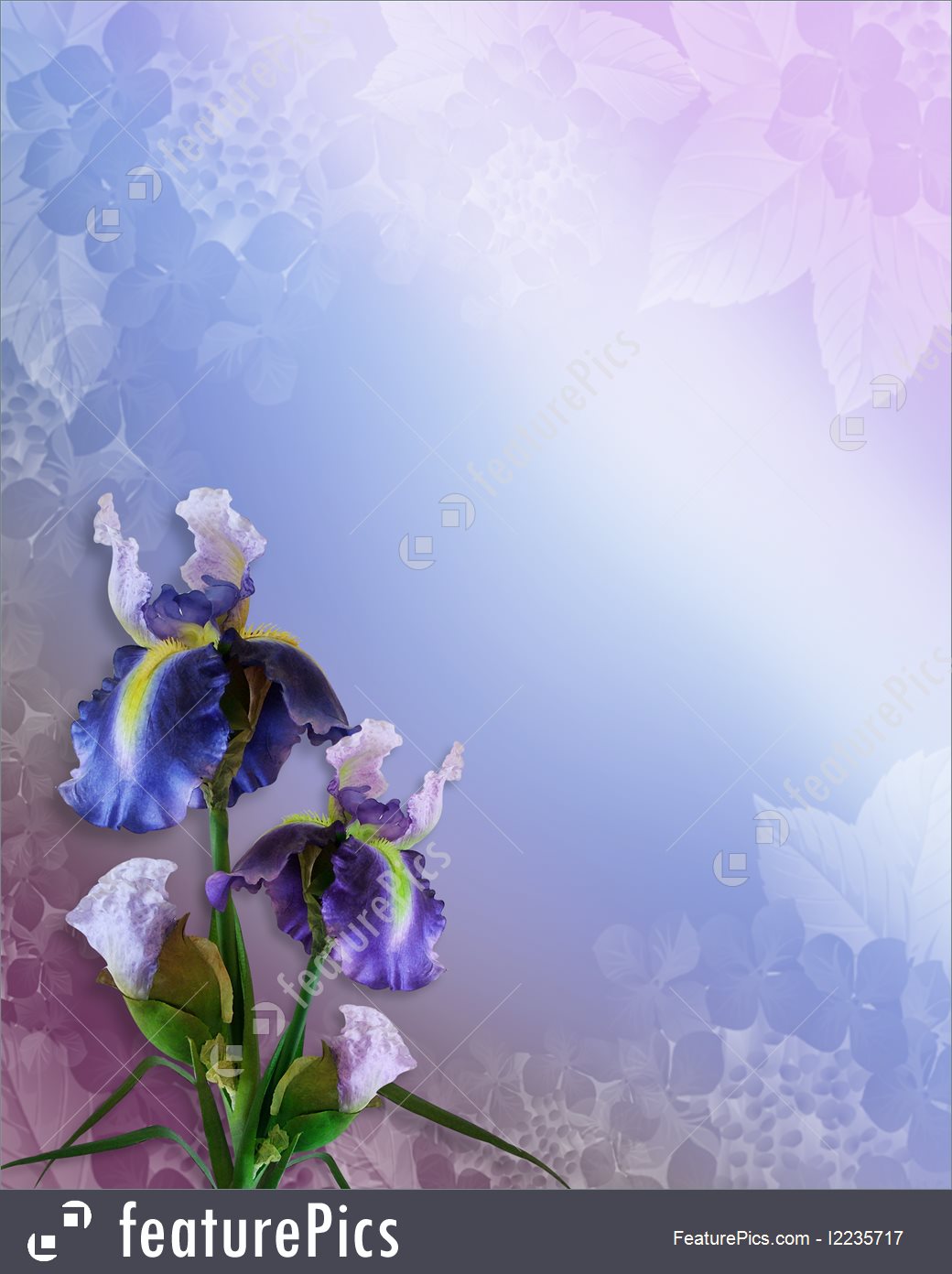 1040x1392 Iris Watercolor Floral Background