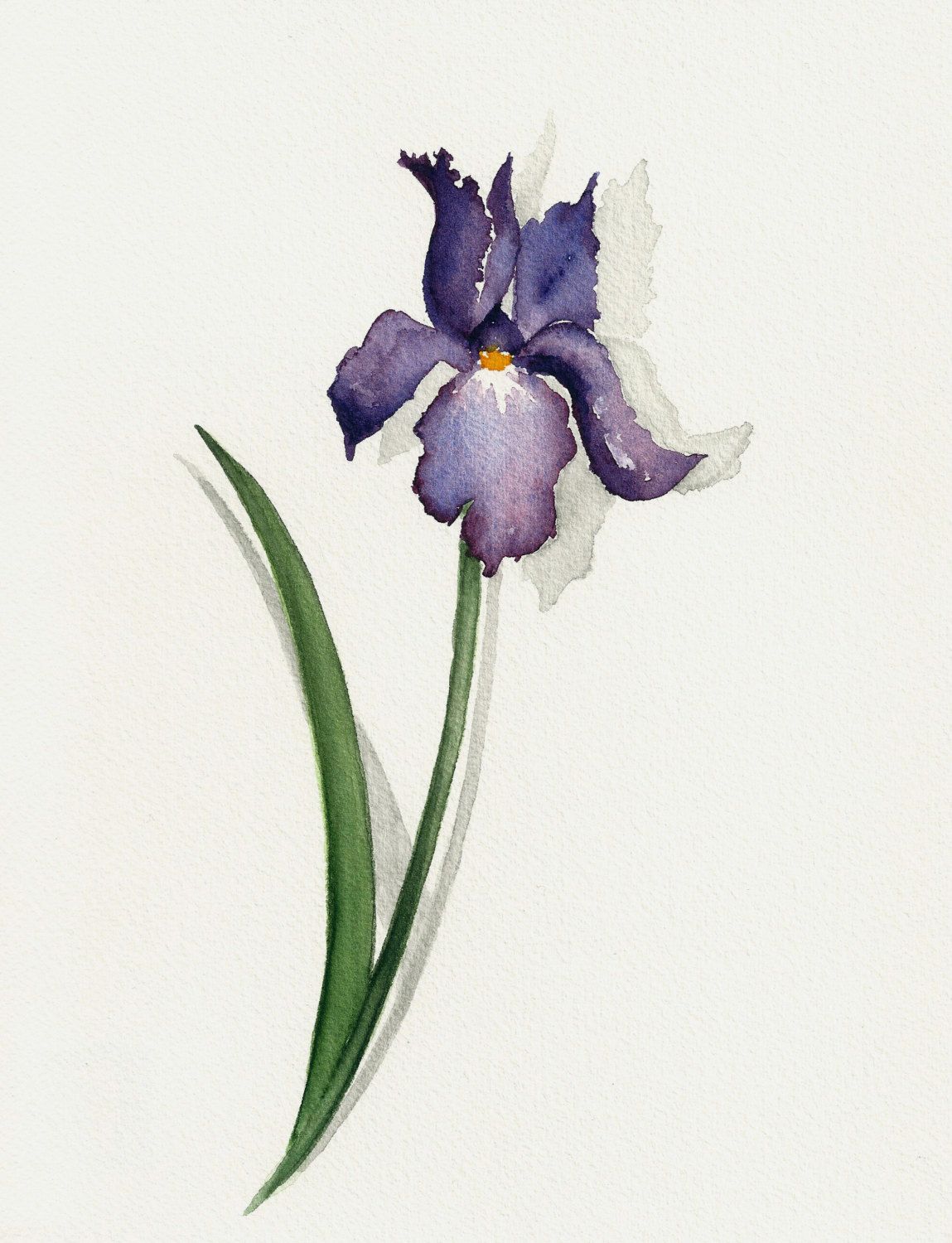 1149x1500 Iris Painting, Original Watercolor Flower Painting, Watercolour