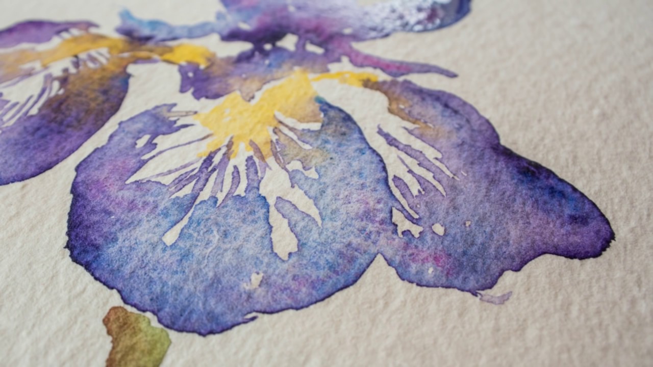 1280x720 Paint An Iris Flower In Watercolor With Angela Fehr