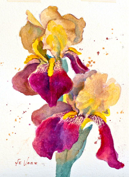 432x590 Painting Watercolor Irises With Le Voss Glade Sun Crossville