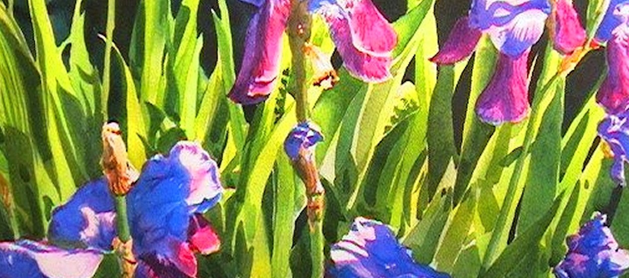 1263x560 Painting The Purple Iris