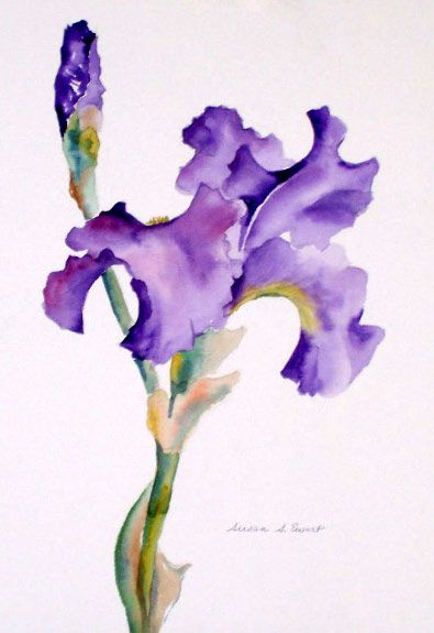 395x575 Purple Iris By Susan Ewart Art Watercolor Flowers 6