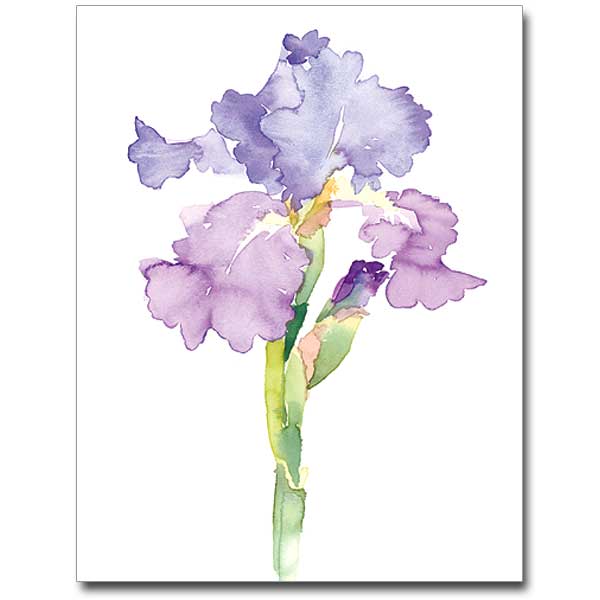 600x600 Watercolor Iris Petite Notes