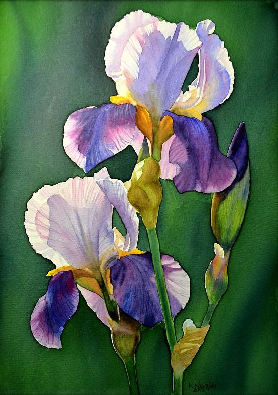 551x781 Watercolors By Krzysztof Kowalski Purple Iris