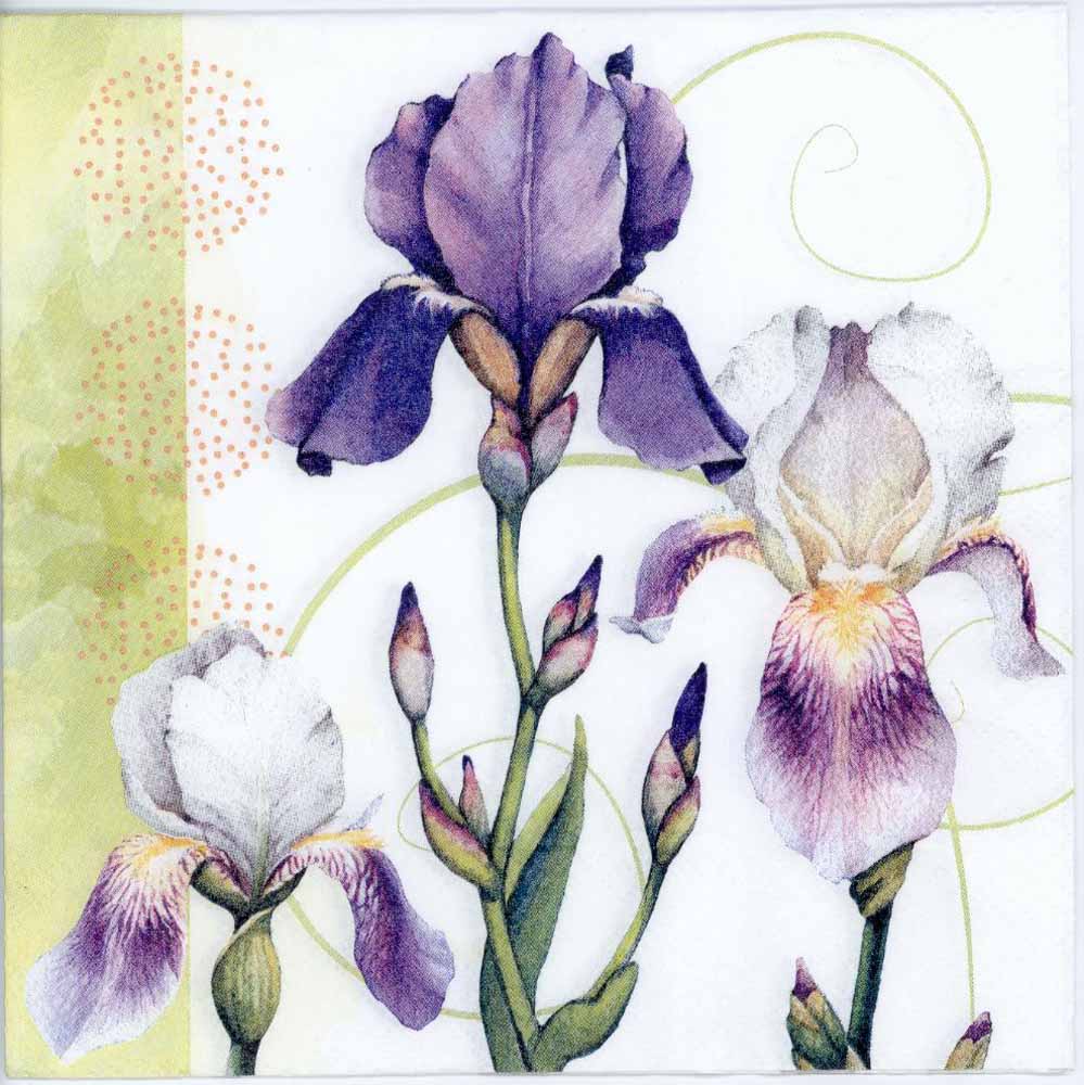 999x1000 Decoupage Napkins Of Watercolor Of Iris Flowers